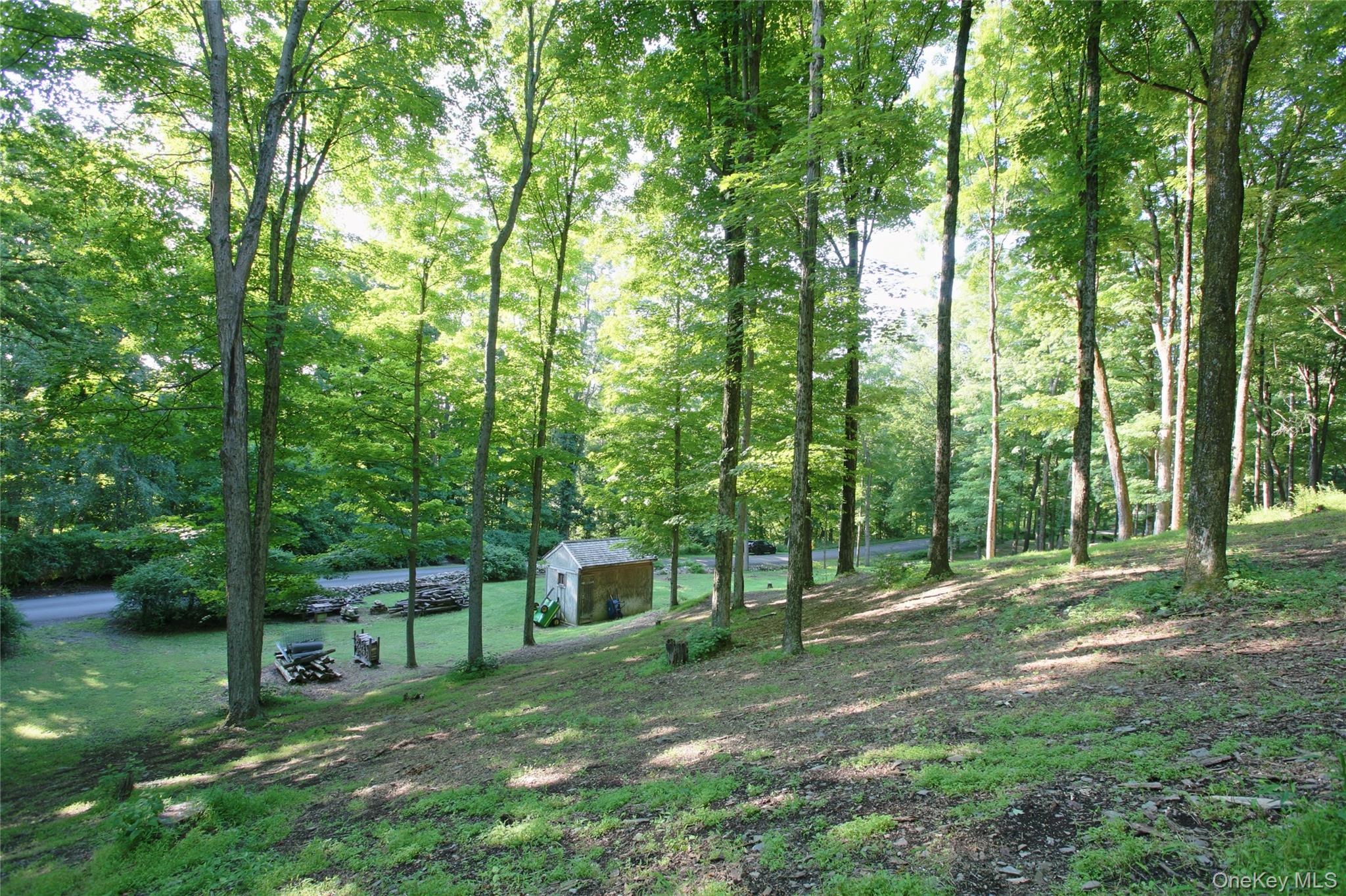 Pond Road