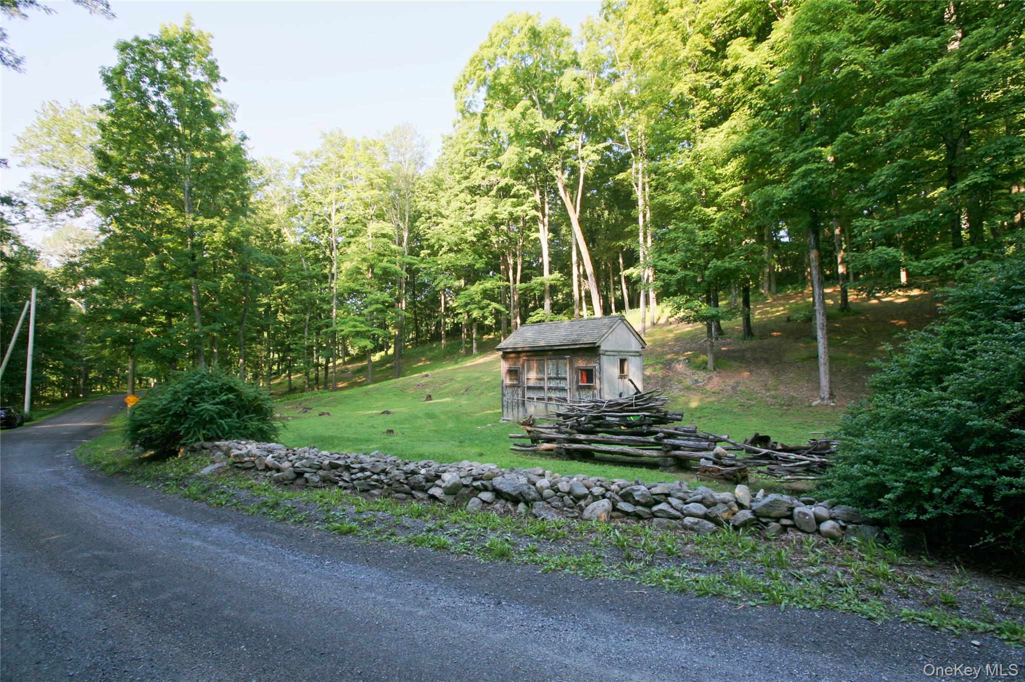 Pond Road