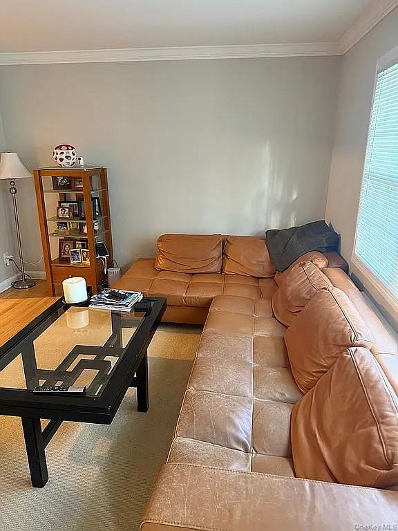 584 8th Street - Photo 4