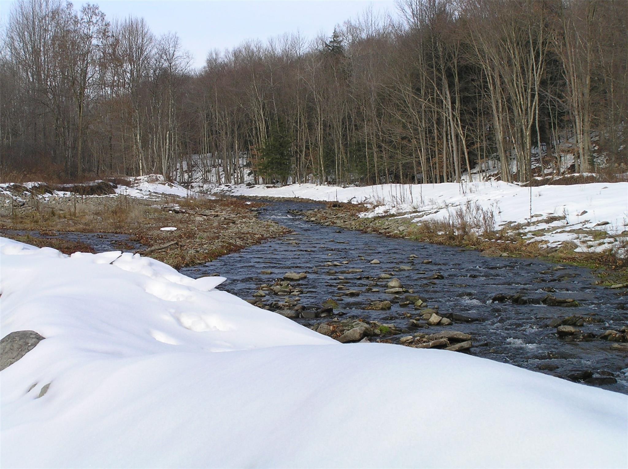 Shandelee Road, Youngsville, New York image 19