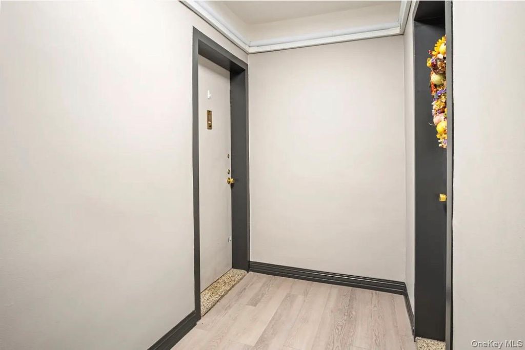 Photo of 101 Clinton Avenue #1L, Mineola, NY 11501 (MLS # 1031670)