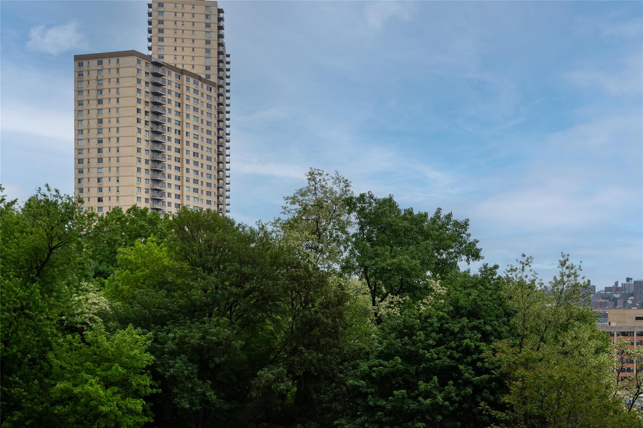 2500 Johnson Avenue #3B, Bronx, New York image 20