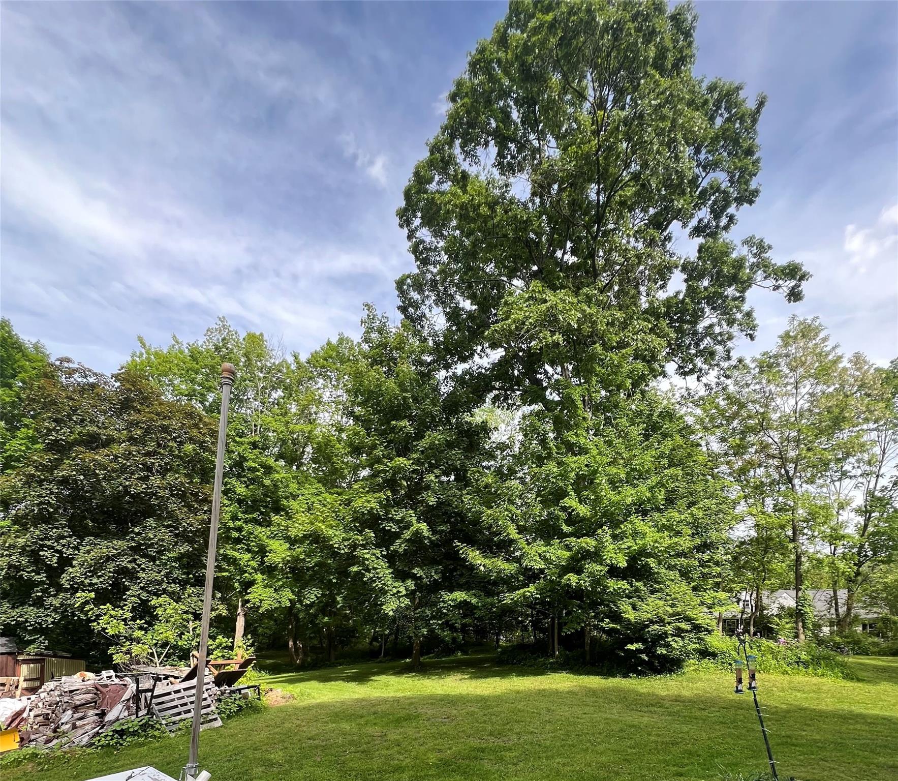 24 Route 217, Hudson, New York image 9