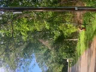 5 Arbutus Lane, East Hampton, New York image 7