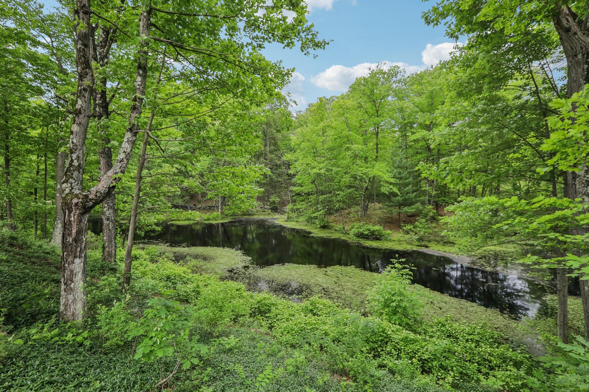 275 Otterkill Road, Cornwall, New York image 21