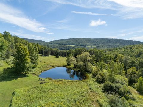 60 Alder Creek Road Livingston Manor NY 12758