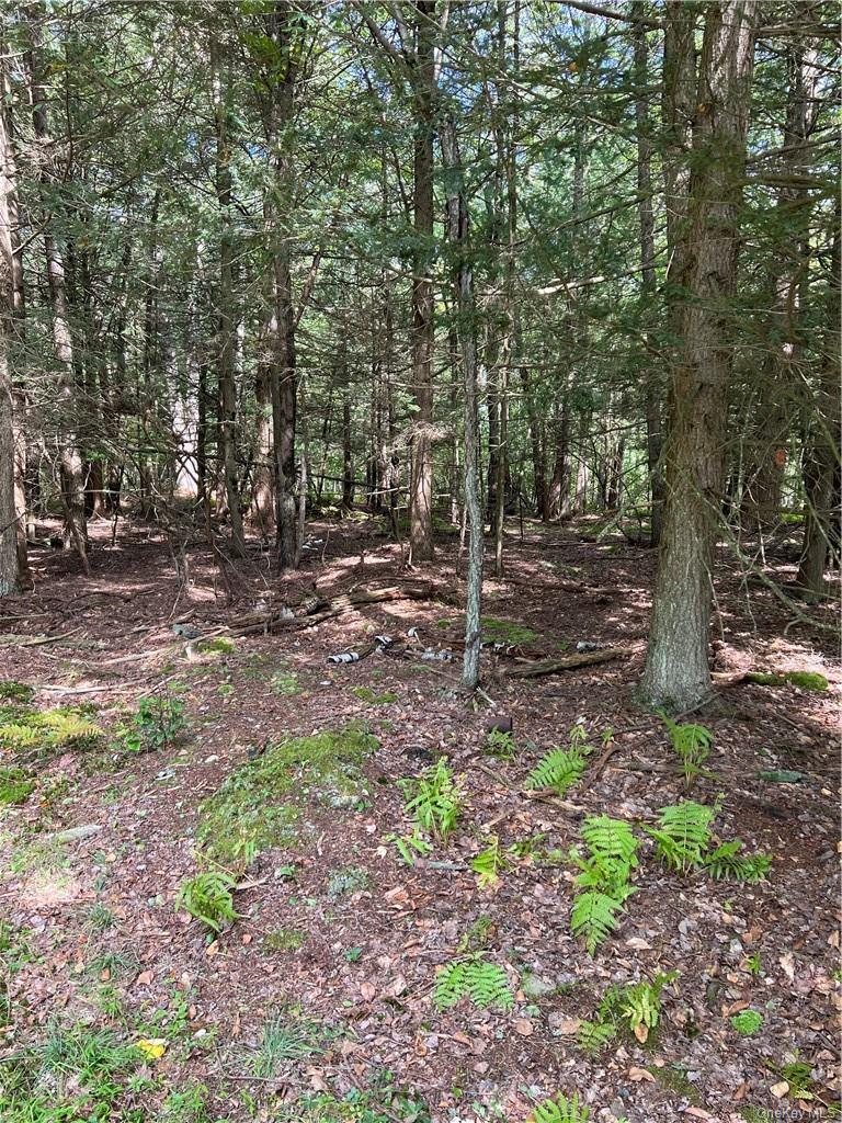 000 Cooper Drive Road