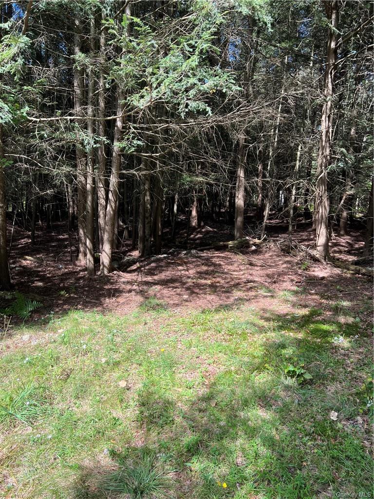 000 Cooper Drive Road