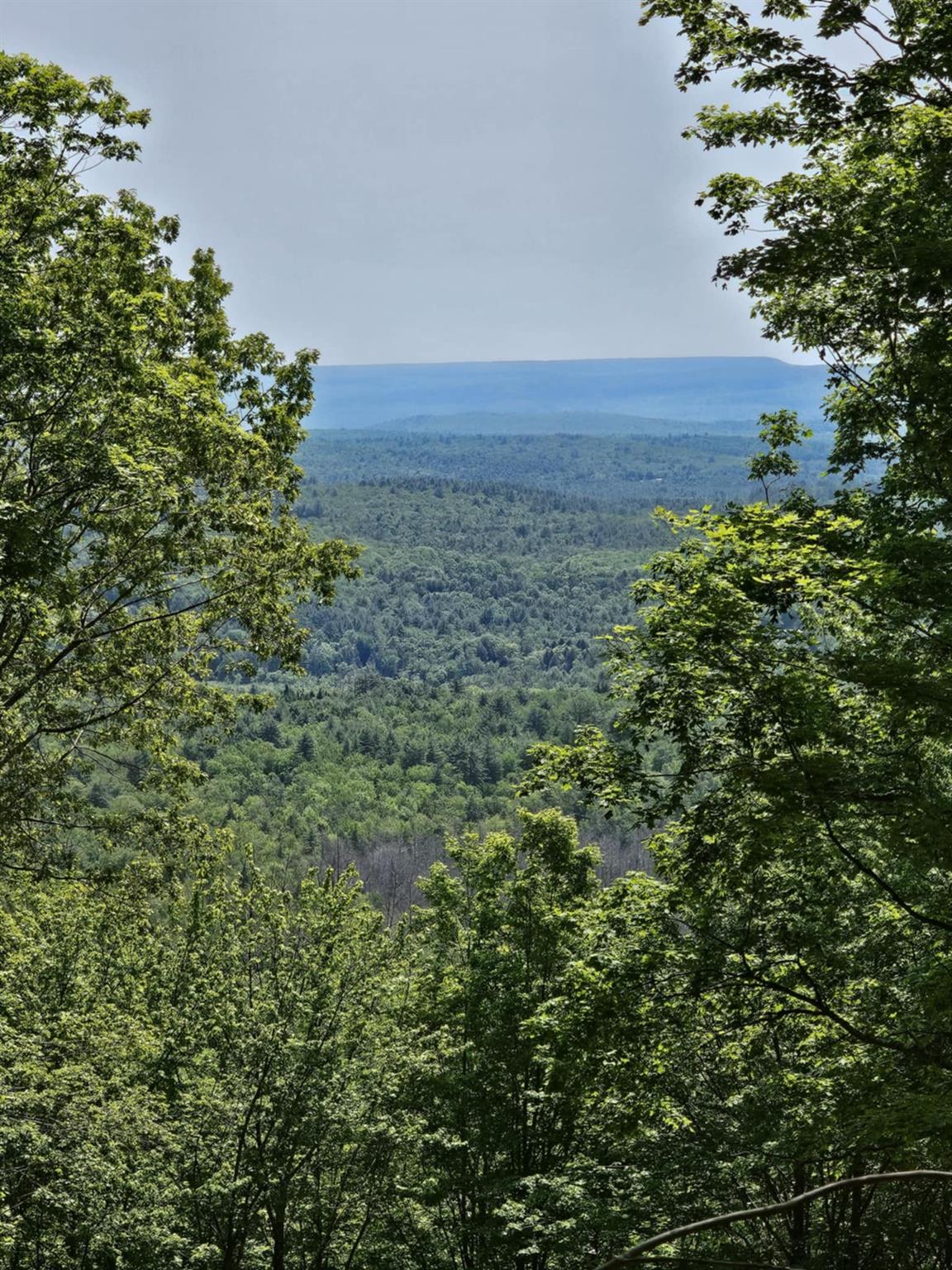 Skyline Drive, Neversink, New York image 6