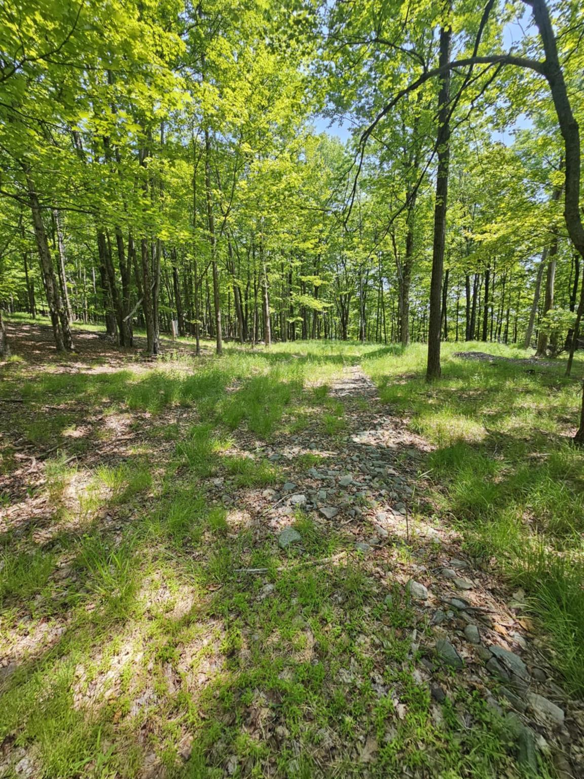 Skyline Drive, Neversink, New York image 9