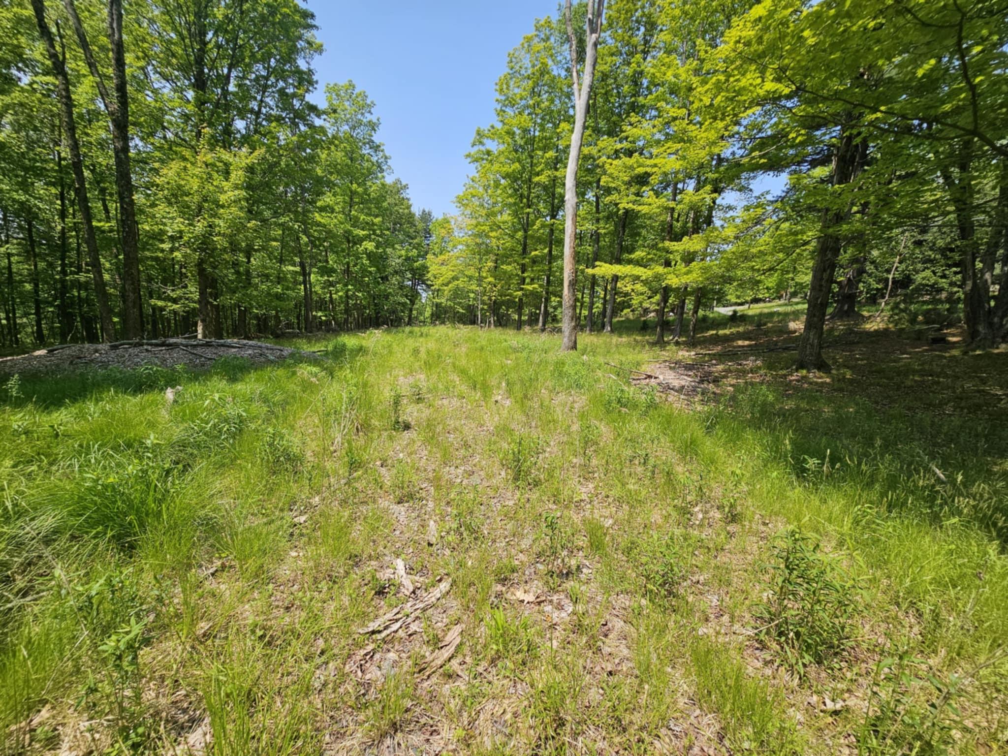 Skyline Drive, Neversink, New York image 3