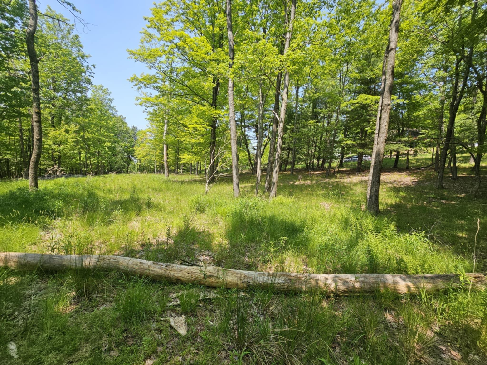 Skyline Drive, Neversink, New York image 17