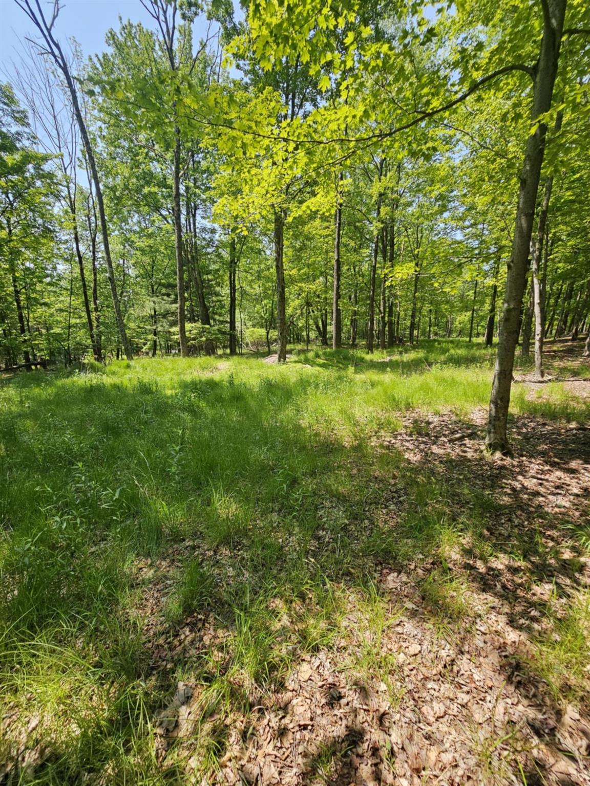 Skyline Drive, Neversink, New York image 8