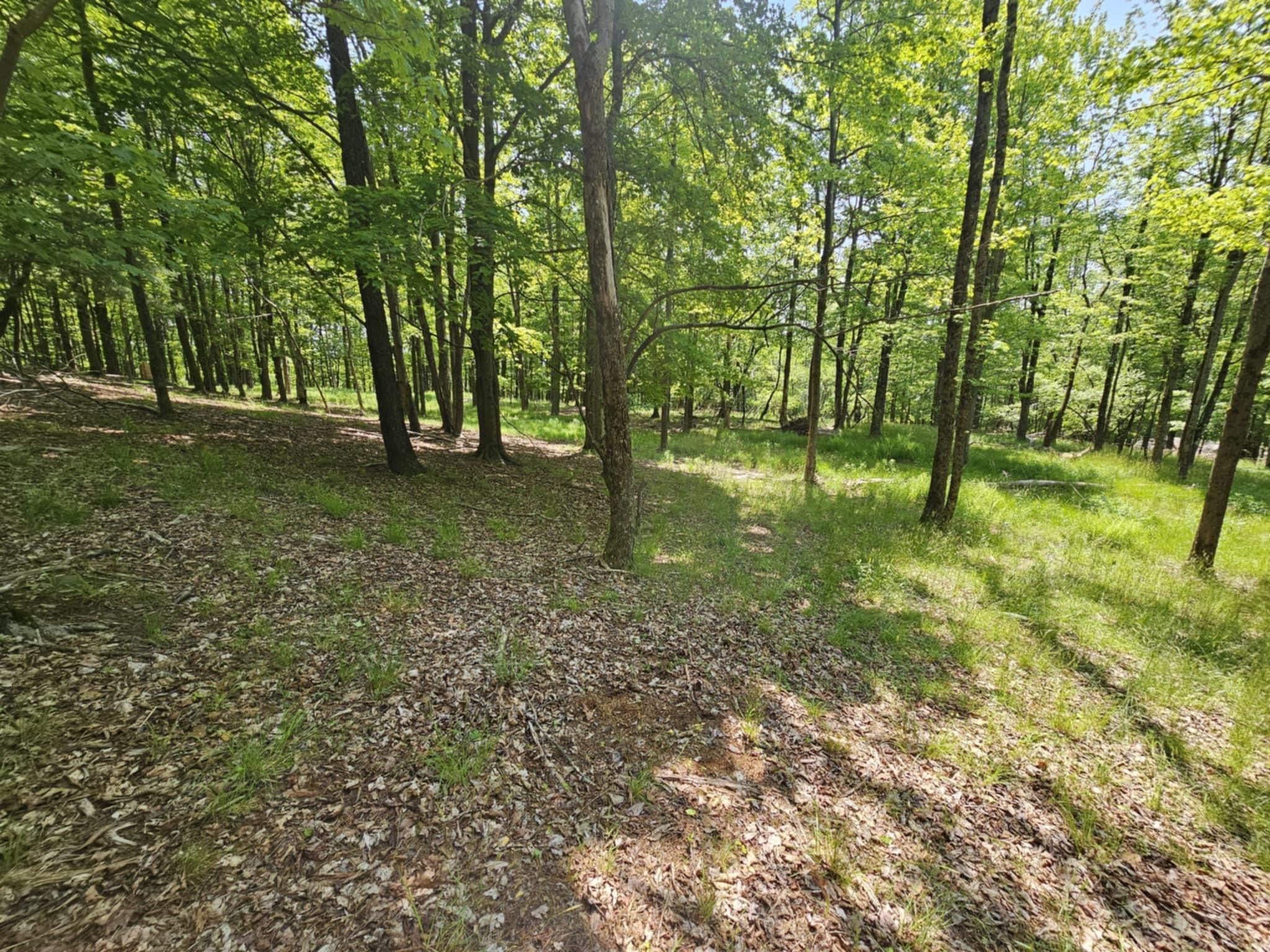 Skyline Drive, Neversink, New York image 16