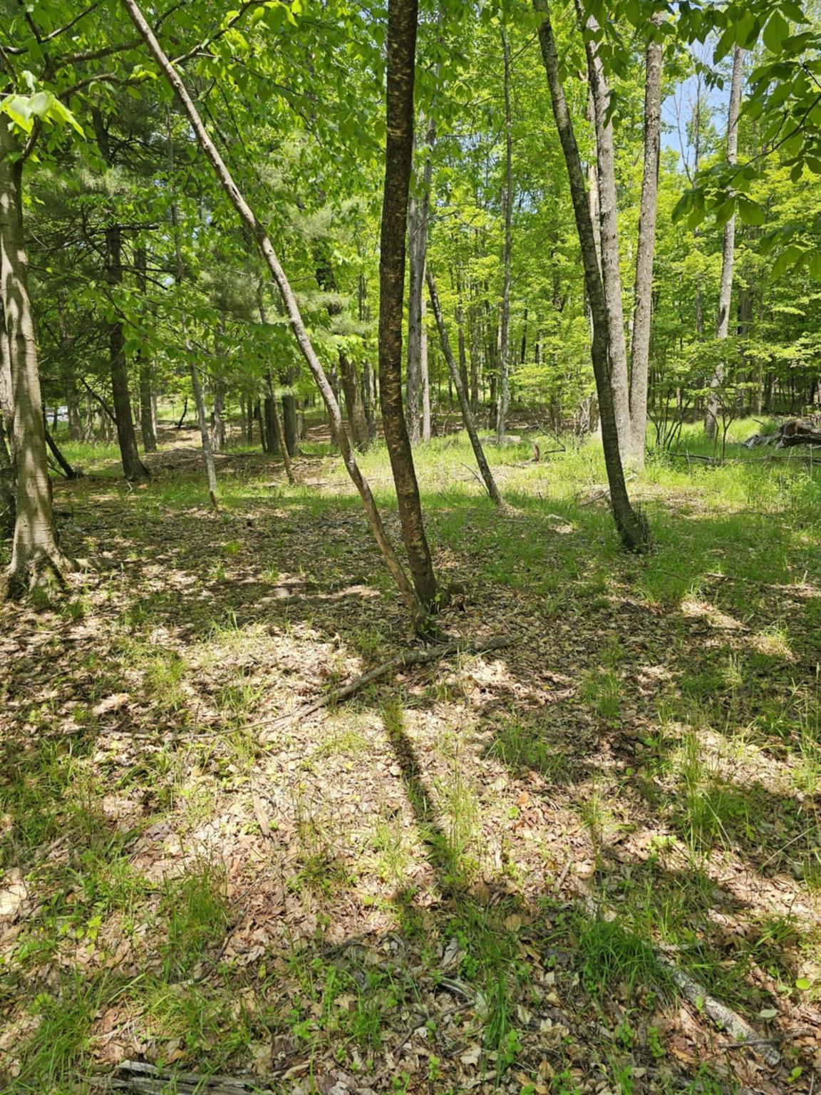 Skyline Drive, Neversink, New York image 18