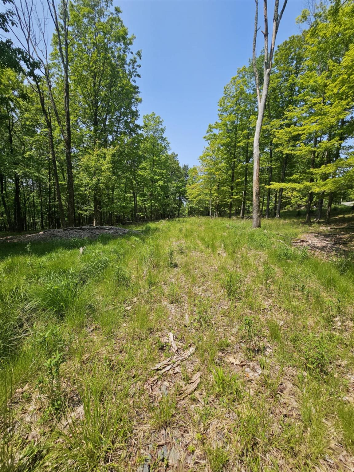 Skyline Drive, Neversink, New York image 13