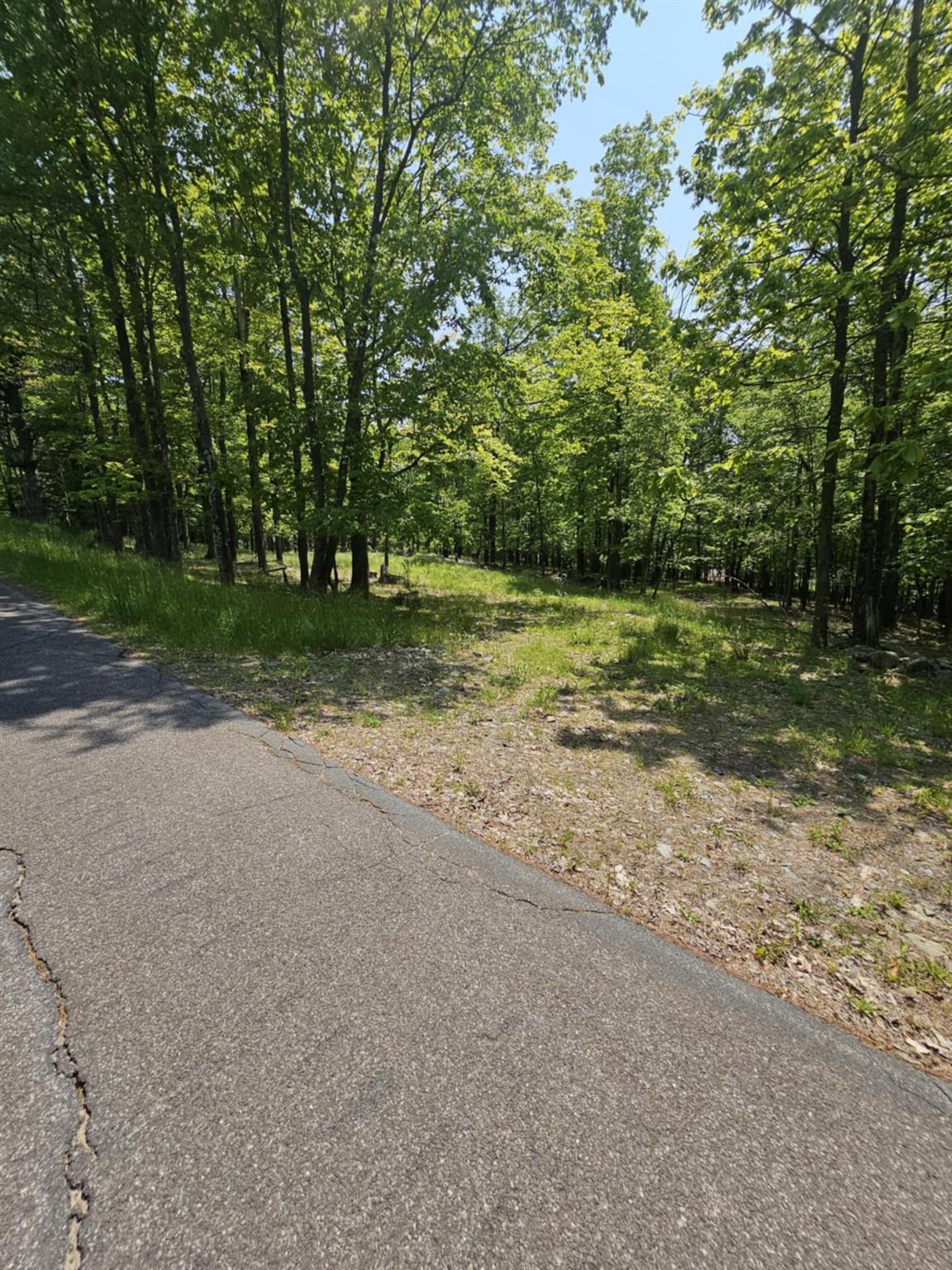 Skyline Drive, Neversink, New York image 1