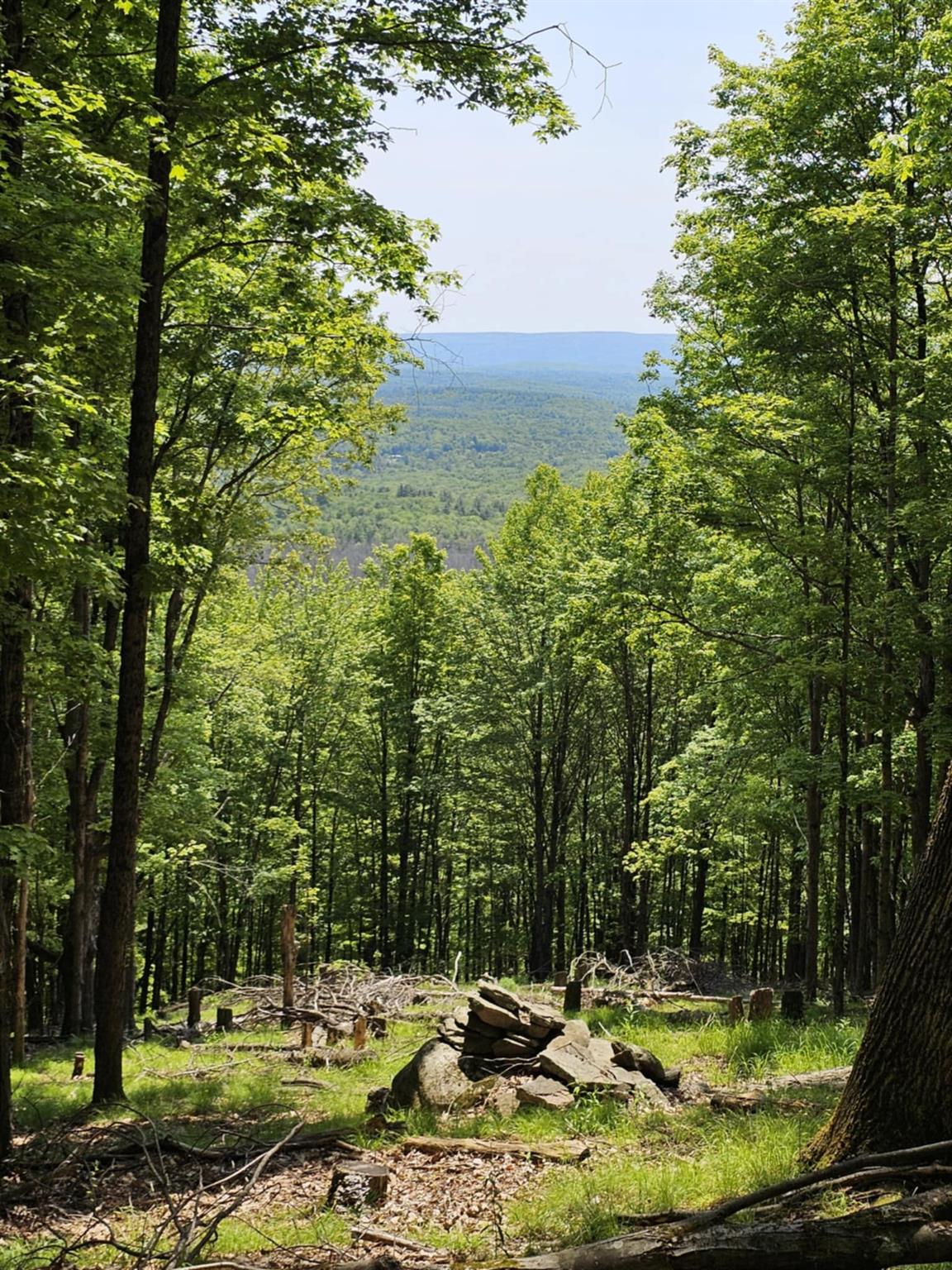 Skyline Drive, Neversink, New York image 15