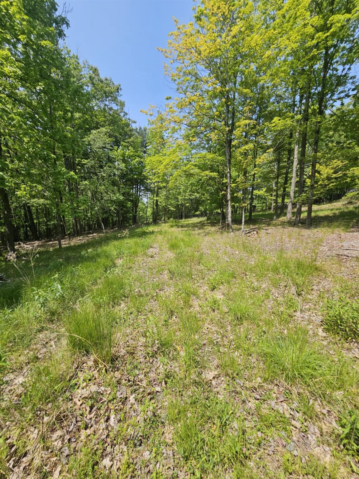 Skyline Drive, Neversink, New York image 10
