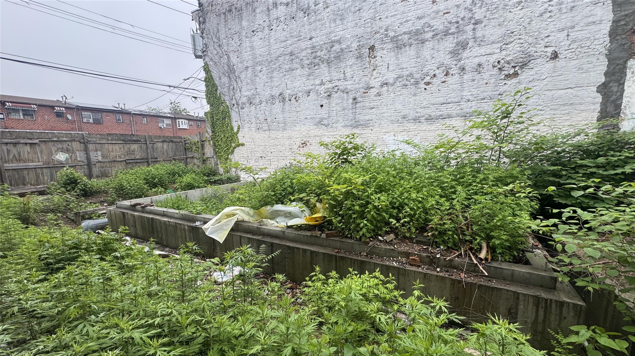 540 Schenck Avenue, Brooklyn, New York image 3