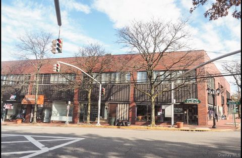 17 Maple Drive Great Neck NY 11021