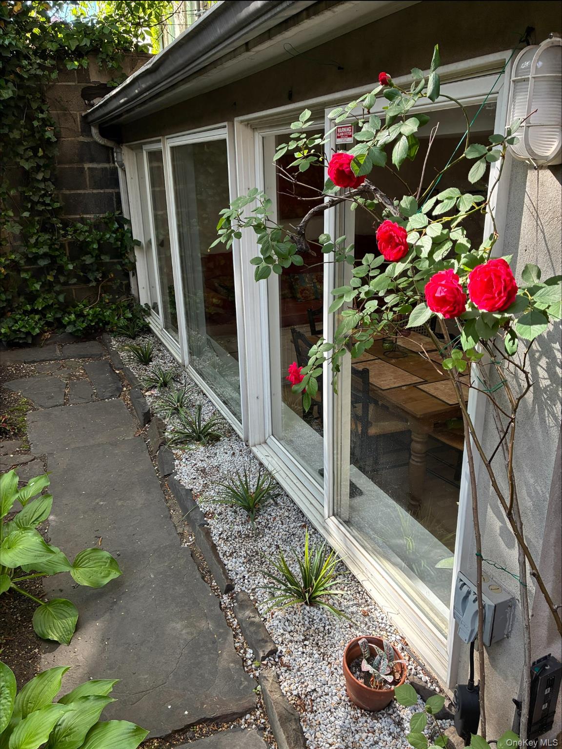 252 w 21 St Garden