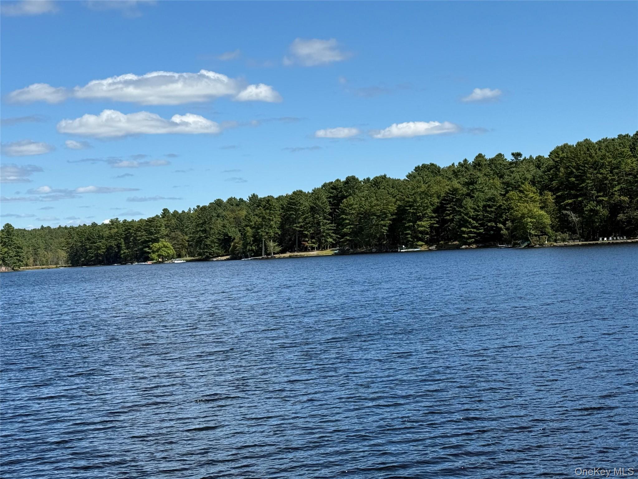35 Oneida Trail