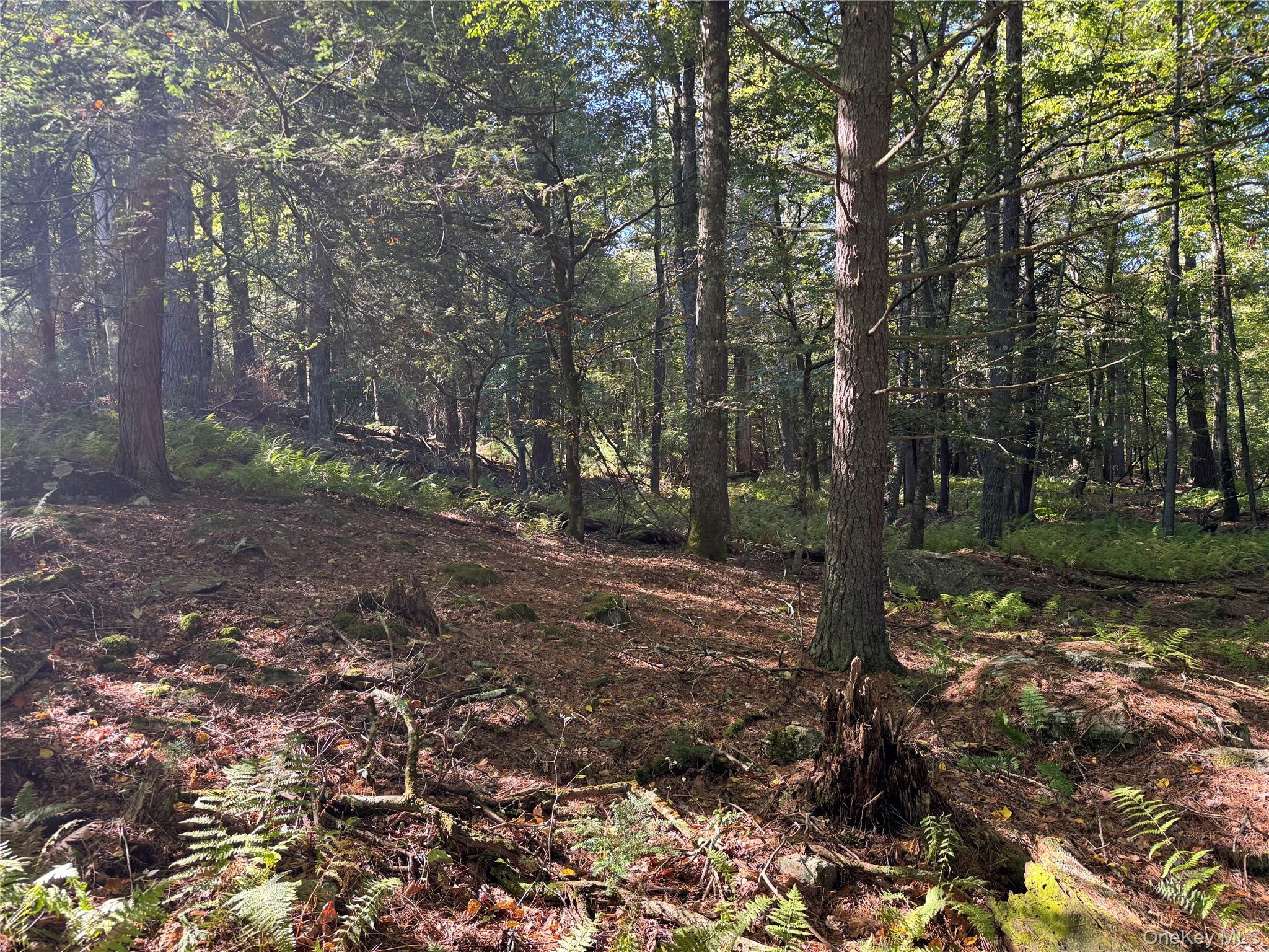 lot 1 Chapin Trail