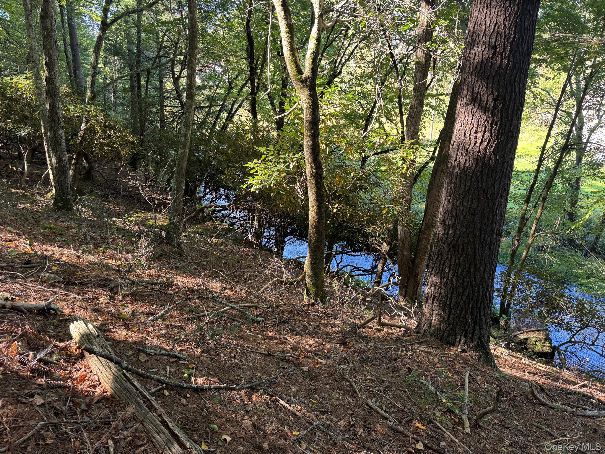 lot 1 Chapin Trail