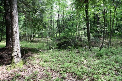 Photo of 0 Neighborhood Road, Shirley, NY 11967 (MLS # 971617)
