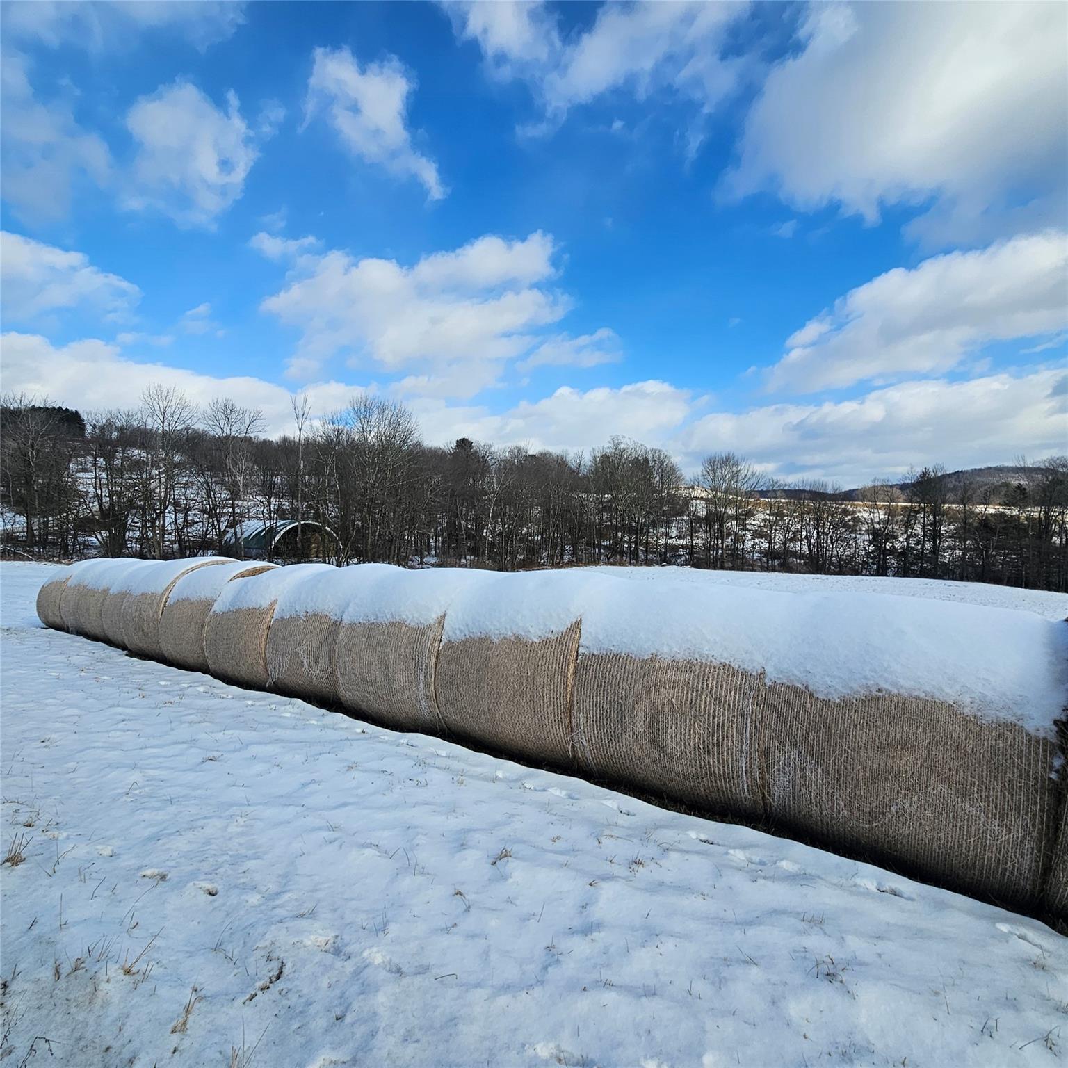 Dyker Road Dyker Road, Jeffersonville, New York image 6