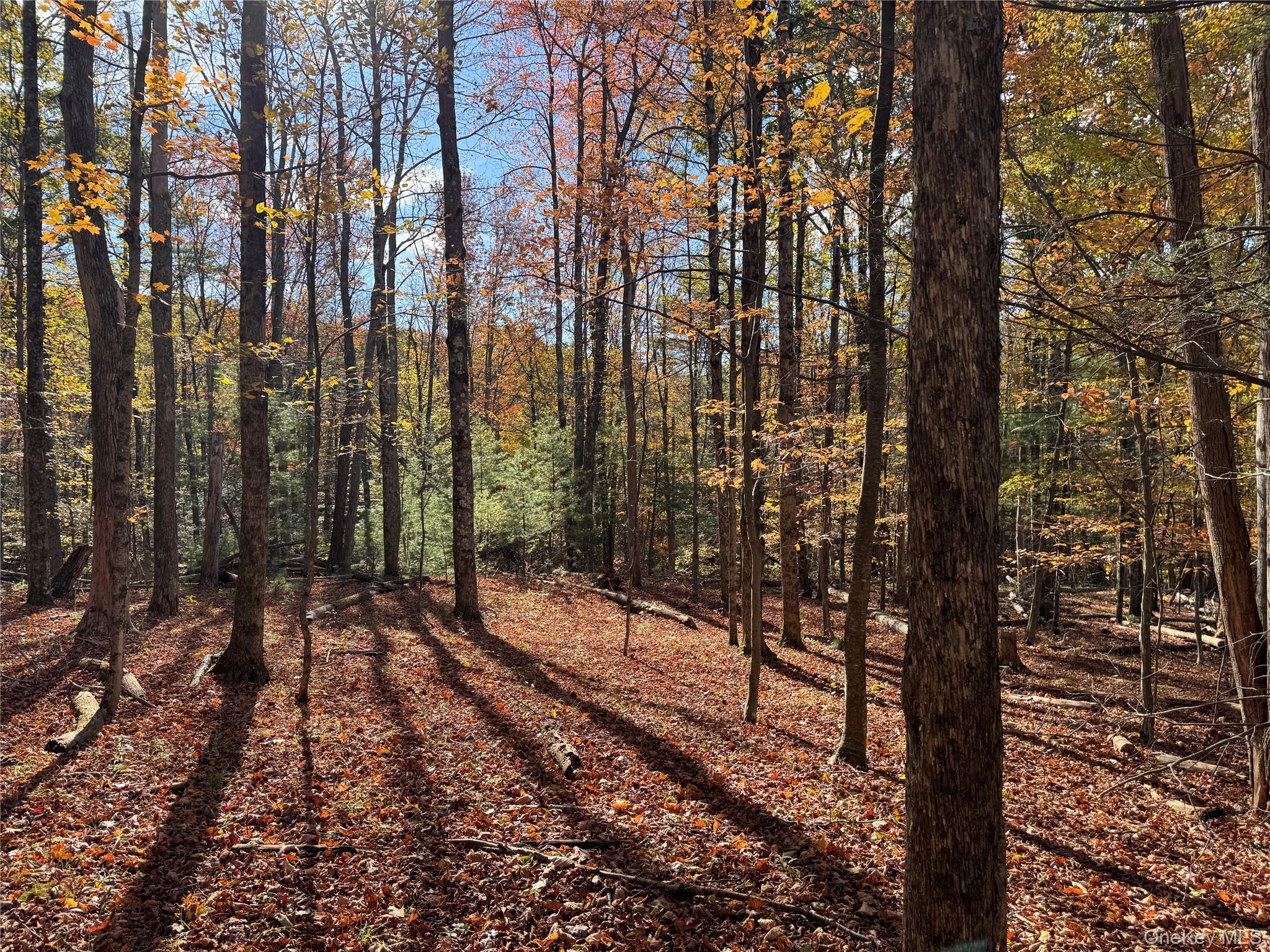 TBD Cross Patch Road