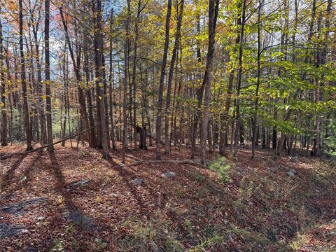 Vacant Land For Sale - TBD Cross Patch Road<br/> Ulster County, Willow, NY 12498