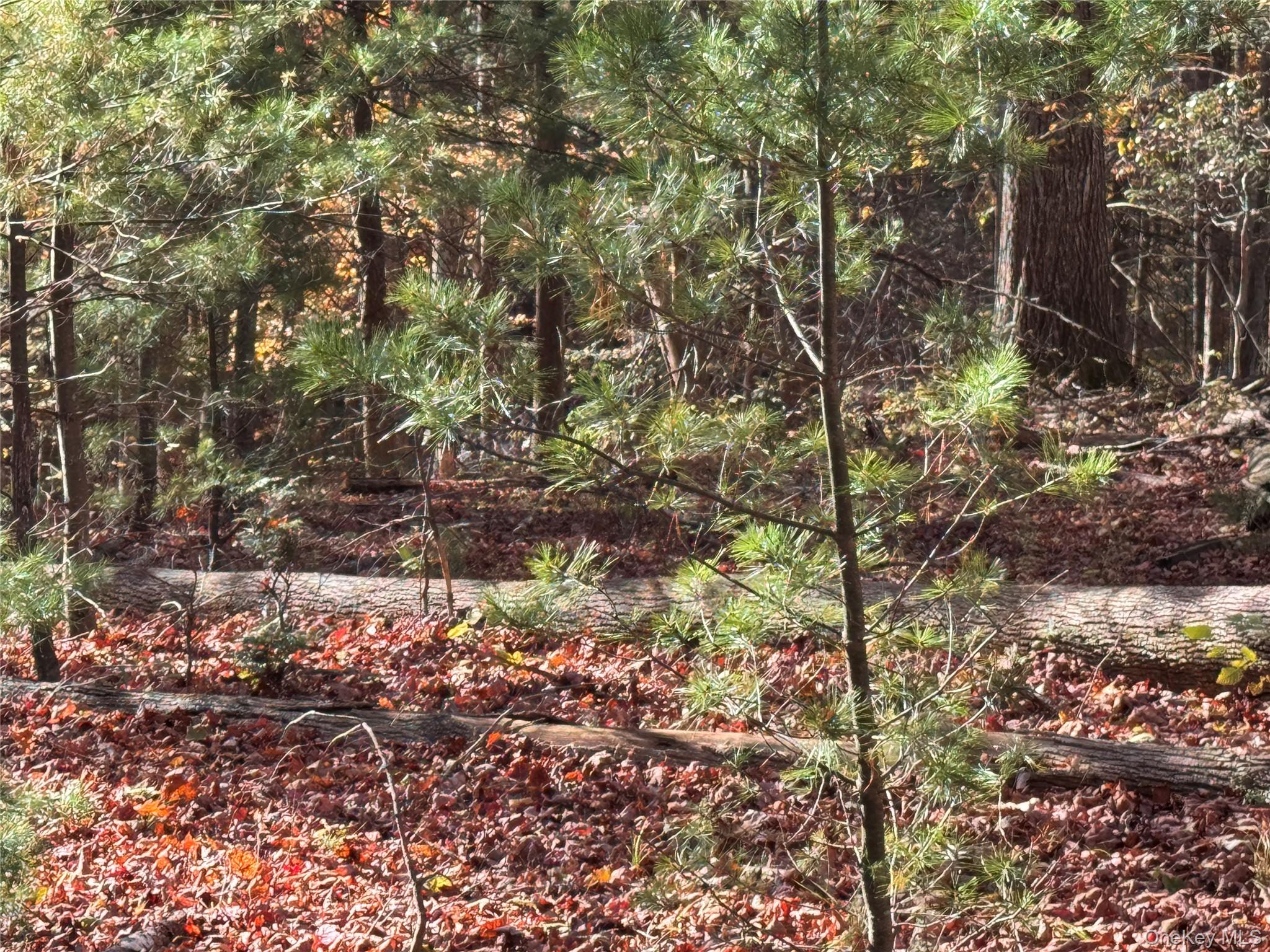 TBD Cross Patch Road