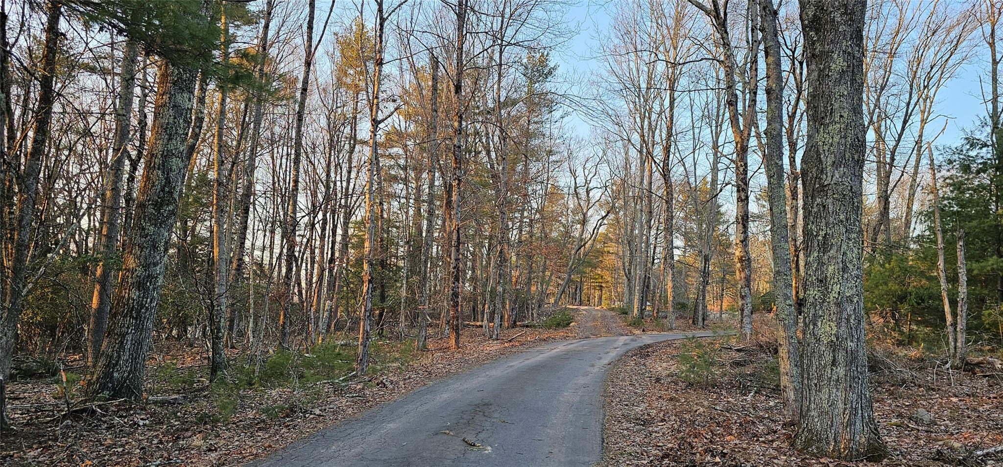 16.1 Beaverbrook Road, Narrowsburg, New York image 5