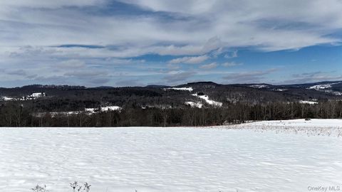 Vacant Land For Sale - Hubert Road<br/> Jeffersonville, NY 12748