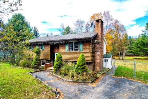 20 Valley Road Forestburgh NY 12777