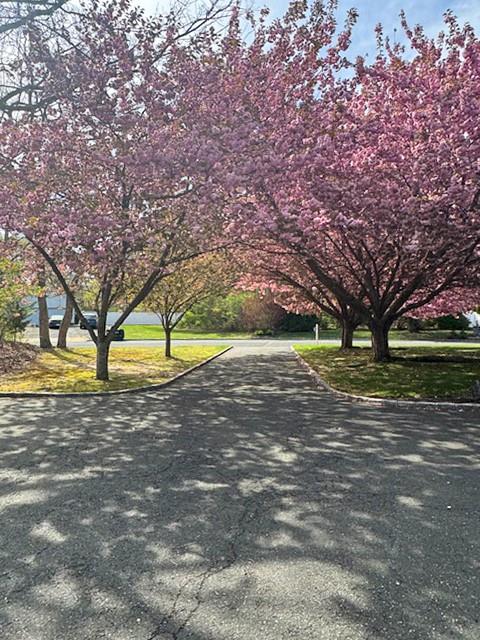 6 Debbie Street, Port Jefferson Station, New York image 3