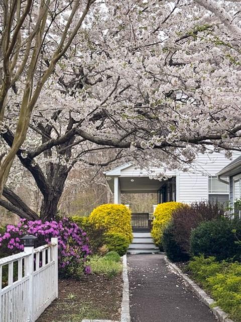 6 Debbie Street, Port Jefferson Station, New York image 4
