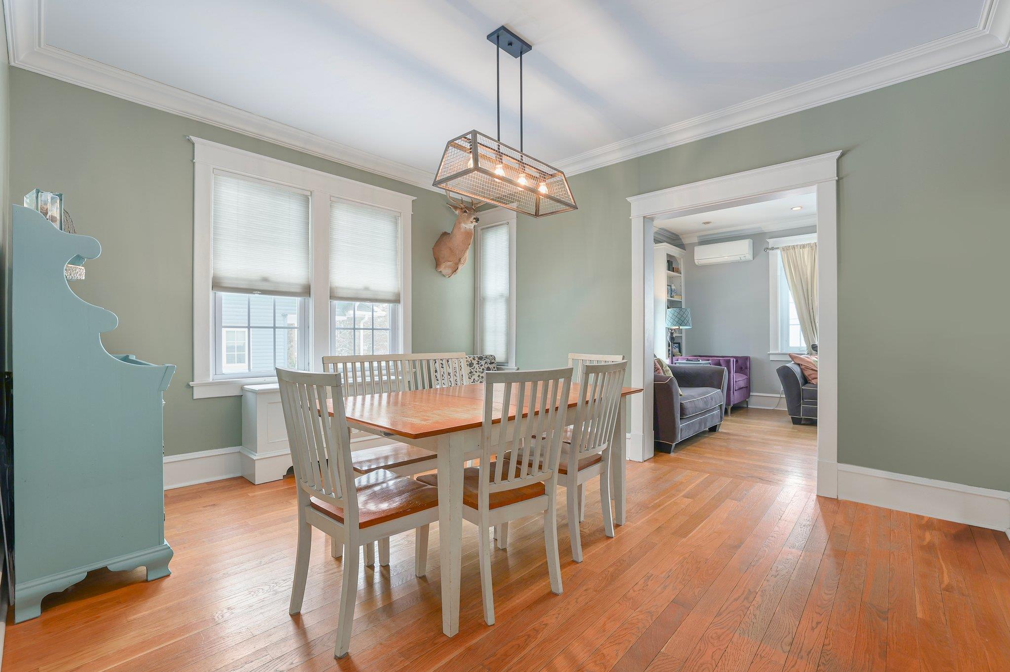 58 N Main Street, Pearl River, New York image 9