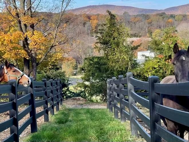 2680 Route 9, Cold Spring, New York image 8