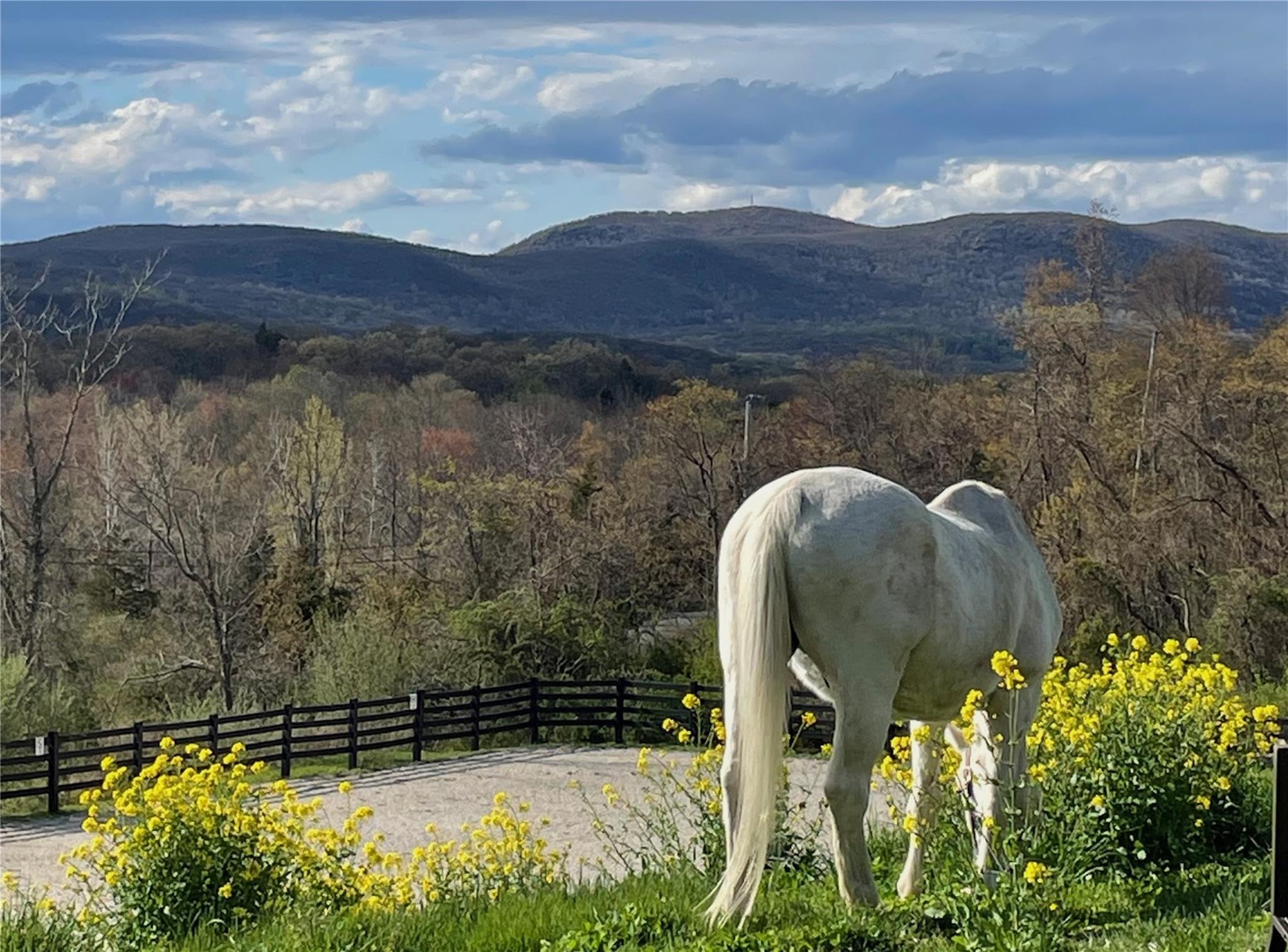Property for Sale at Route 9, Cold Spring, New York - Bedrooms: 2 
Bathrooms: 3 
Rooms: 6  - $4,970,000