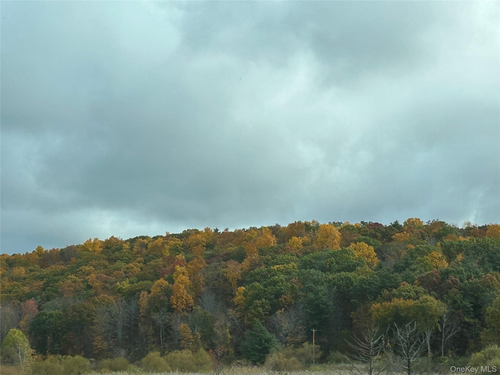 Photo of 1780 Strawberry Road, Mohegan Lake, NY 10547 (MLS # 1063832)