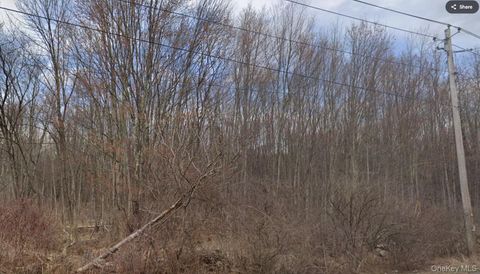 Ingrassia Road Middletown NY 10940