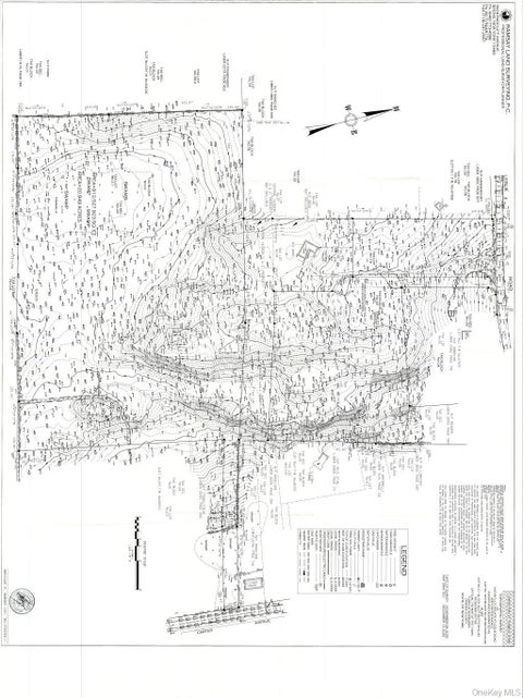 Vacant Land For Sale - Tax Lot 2.1<br/> Newburgh, NY 12550