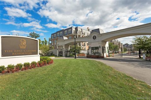 6000 Royal Court 6307 North Hills NY 11040