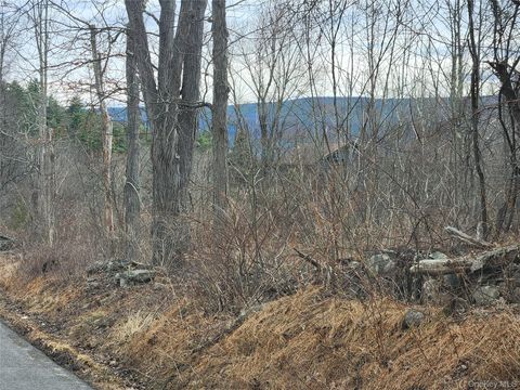 Irish Cape Road Ellenville NY 12428