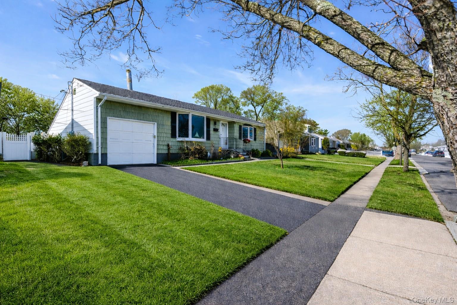 53 Calvert Avenue