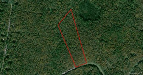00 Mathias Weiden Drive Narrowsburg NY 12764