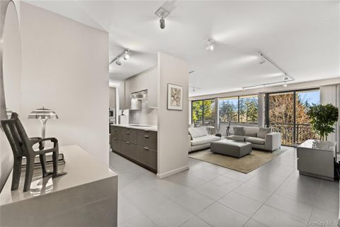 15 Stewart Place 4A White Plains NY 10603